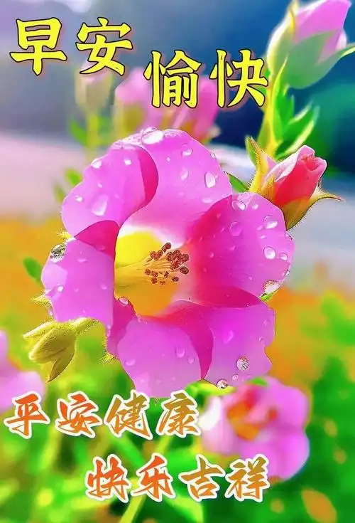 7月2日周日早上好早安祝福图片早上好问候语周末愉快吉祥如意