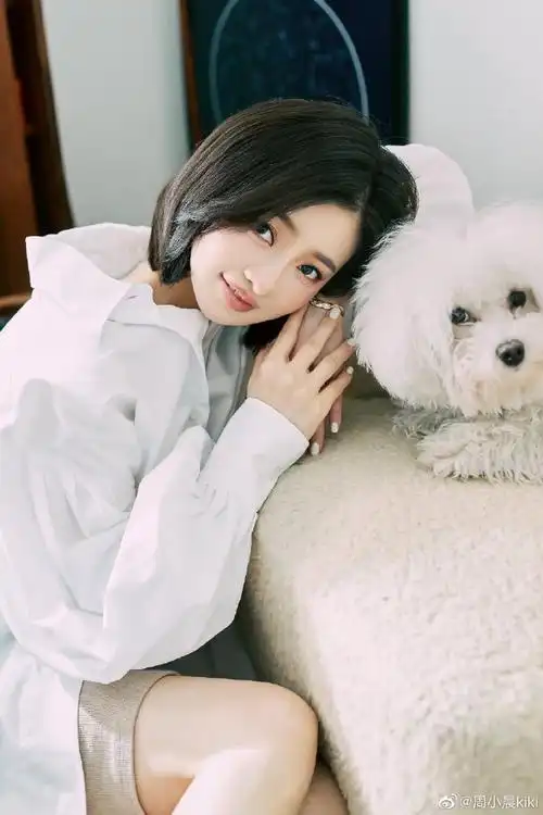 白衬衫怎么穿搭出时髦感##为我的狗发条微博