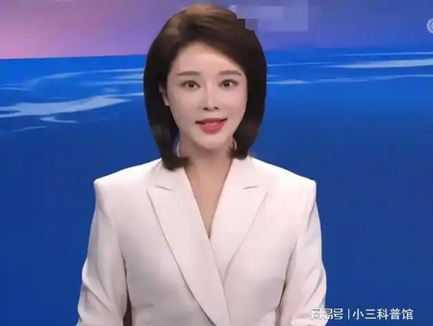 央视主持人胡蝶31岁嫁大12岁陆川婚后长期分居生下一儿一女