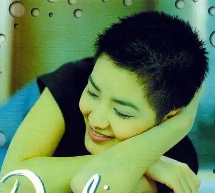 范晓萱发型范晓萱最新短发发型叫什么