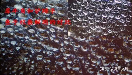 犀牛角真假用灯照能分辨吗?