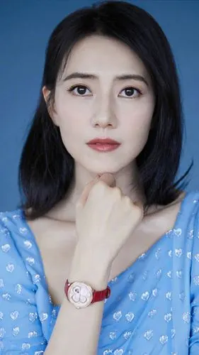 高圆圆,实力,高圆圆的美