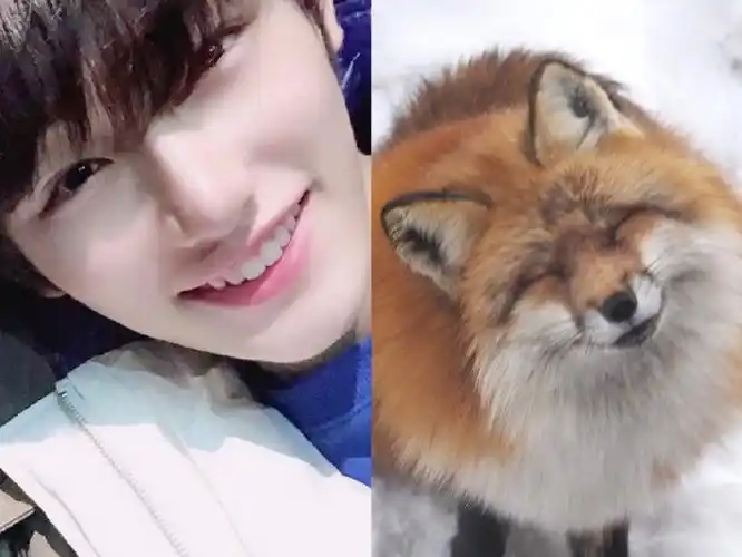 丁程鑫的本体是一只爱笑的小狐狸@时代少年团-丁程鑫