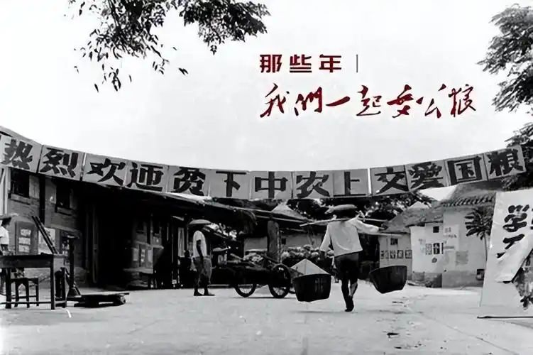 一组老照片带你了解交公粮的场景父辈们终生难忘的记忆