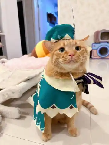 cv倒吊男超话—新浪微博超话社区