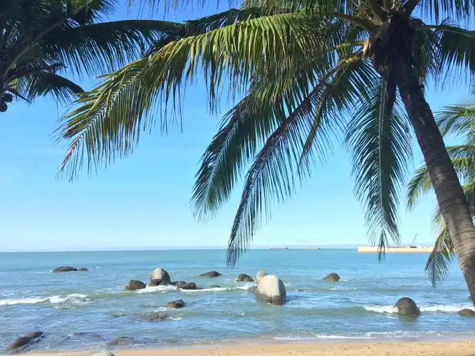 海南岛的特色……海边椰树