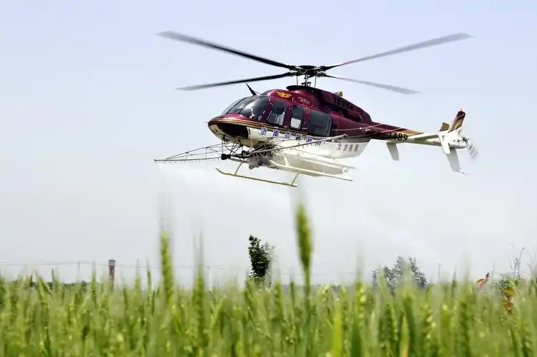 临沂郯城:直升机空中治麦病