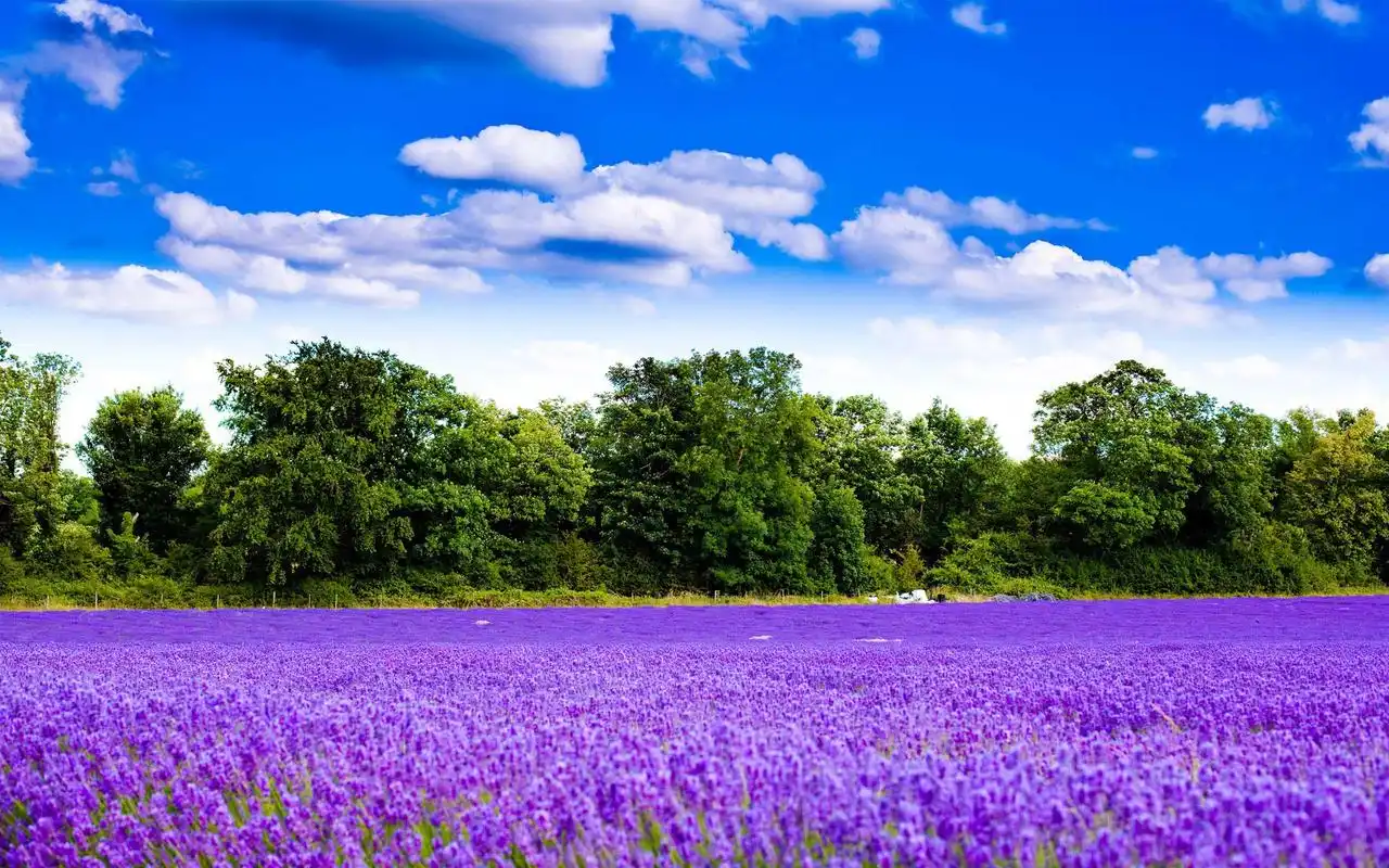 唯美高清山川风景宽屏桌面电脑壁纸.美桌网专注于电脑,手机桌面壁纸,
