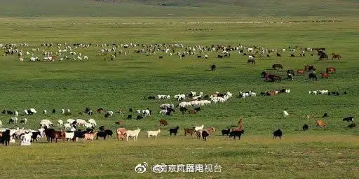 南京广播电视台