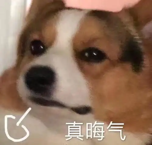 热门表情包原图精选(13个表情)-2021/01/19