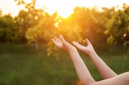 人类的双手张开掌心向上崇拜.圣体圣事治疗保佑他照片