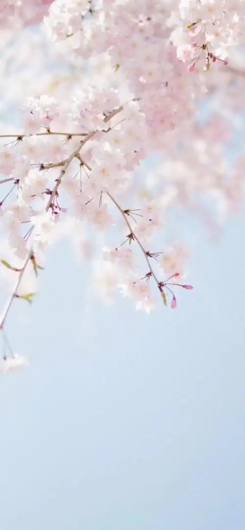 全面屏高清壁纸 | iphonexs max x壁纸_星标