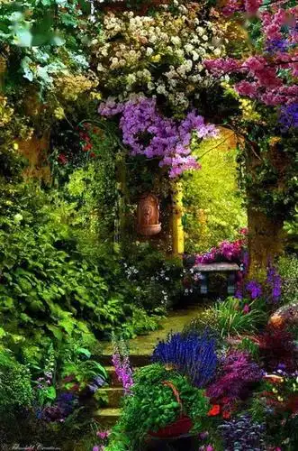 在莎莉花园里世界上最美的旋律没有之一