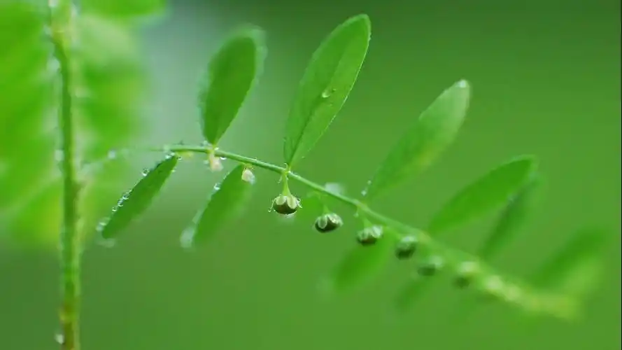 预防夏季高温疾病有哪些方法?,夏季防病措施