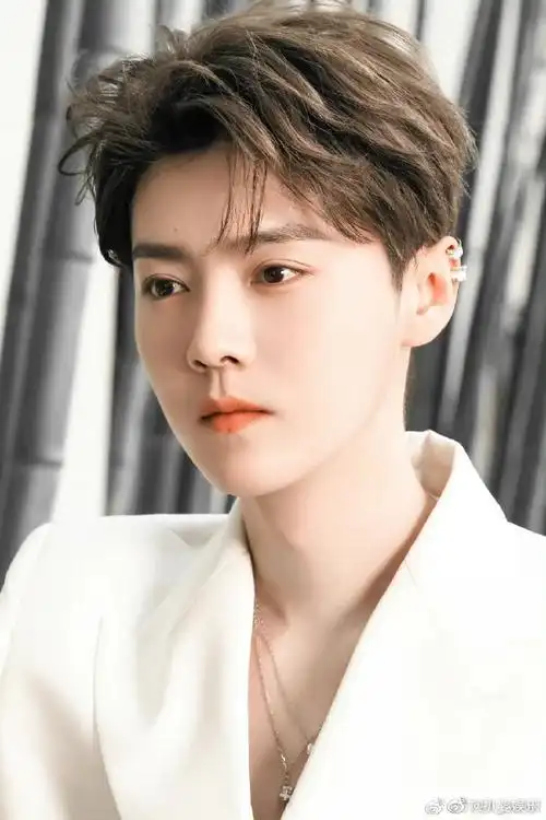 果然是人见人爱的鹿哥~未来继续闪闪发光吧~#鹿晗超话阅读量破3000亿