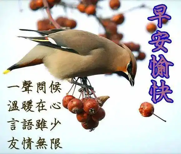 8张创意好看的冬天早安早上好图片带字带祝福语 最美冬日早上好问候语