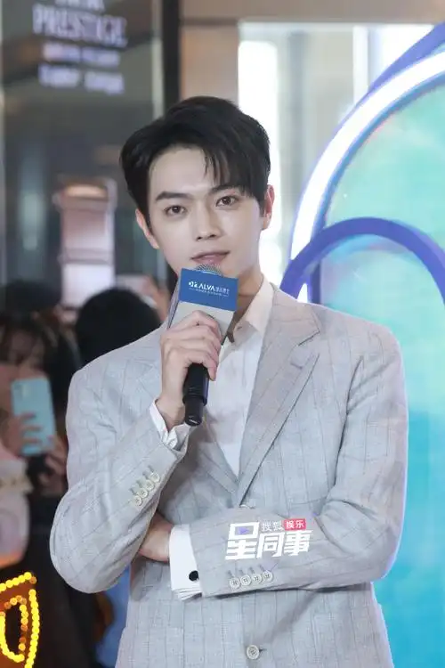 许凯今日活动造型9615 一身灰色格纹西装造型,清爽又帅气!