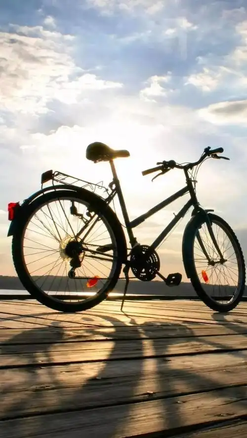 唯美单车骑行图片