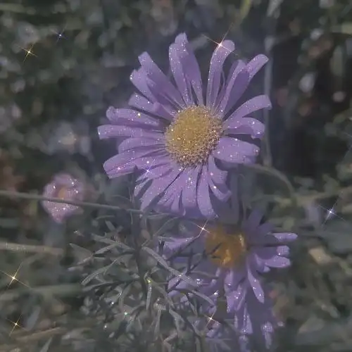 朋友圈背景图  #神仙壁纸  #ins壁纸  #无水印 #小仙女专用壁纸