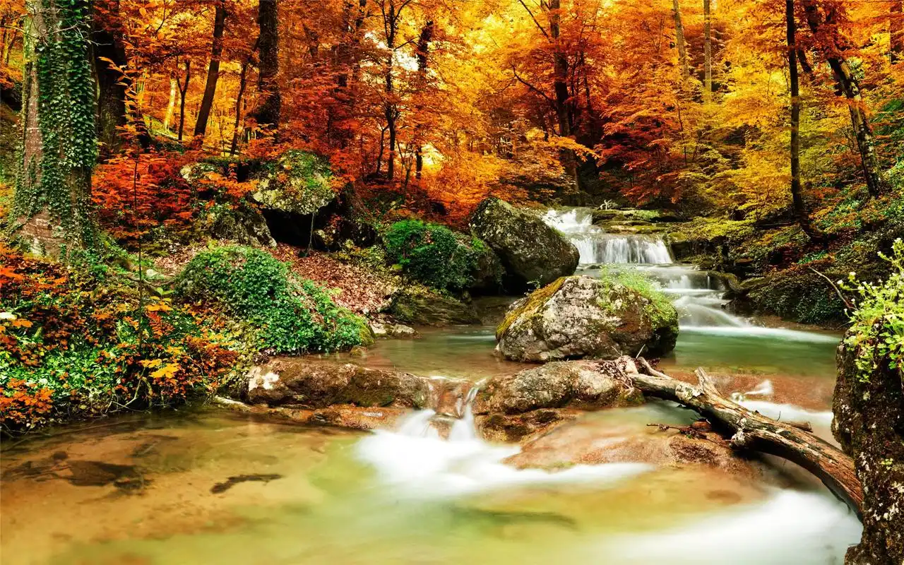 秋高气爽好看的森林瀑布唯美风光高清桌面壁纸(二)