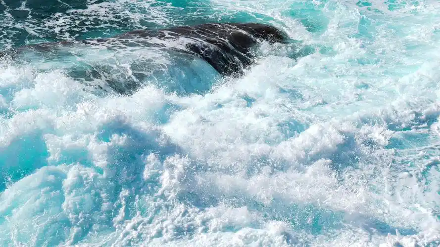 波光粼粼宏伟壮阔的大海