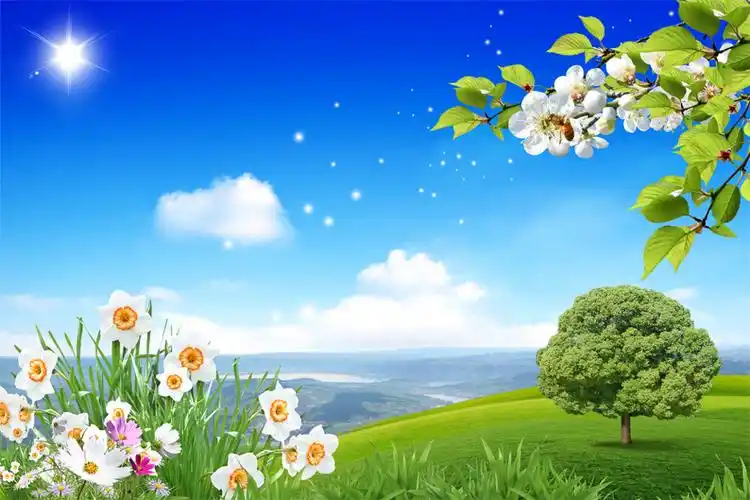 风景花草树木图片