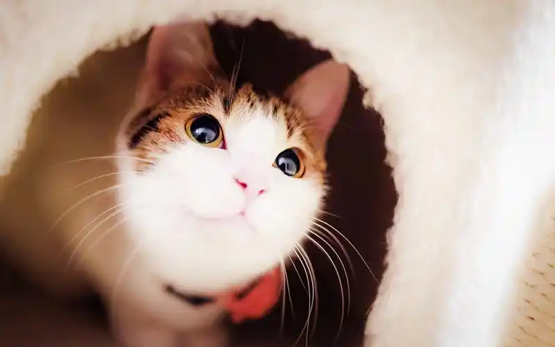 活成自己喜欢的样子