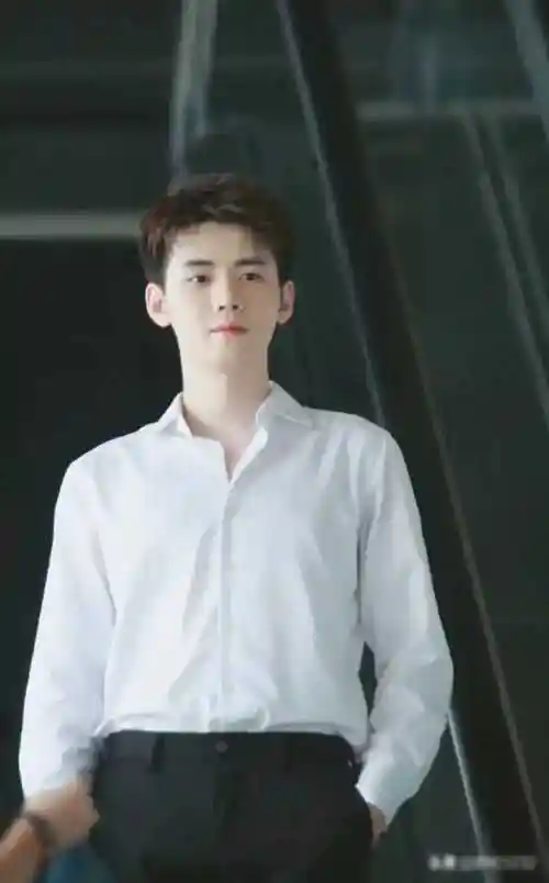 十大白衬衫男神,肖战第二,陈星旭第五,盘点前四名!