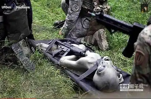 网传捕获野生外星人视频 et受伤呻吟被急救(0/28)