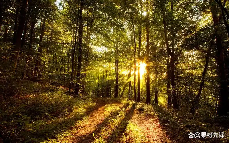 电脑风景壁纸图片大全高清,全球最美100张风景壁纸ins高级质感