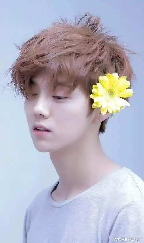 exo时期的鹿晗2012年的盛夏,他带着小鹿般的清澈眼眸闯入视野,用