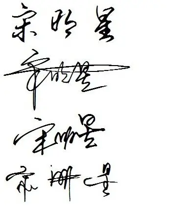 请大师帮忙设计个艺术签名,一笔签,商务签等,(宋明星),谢谢!