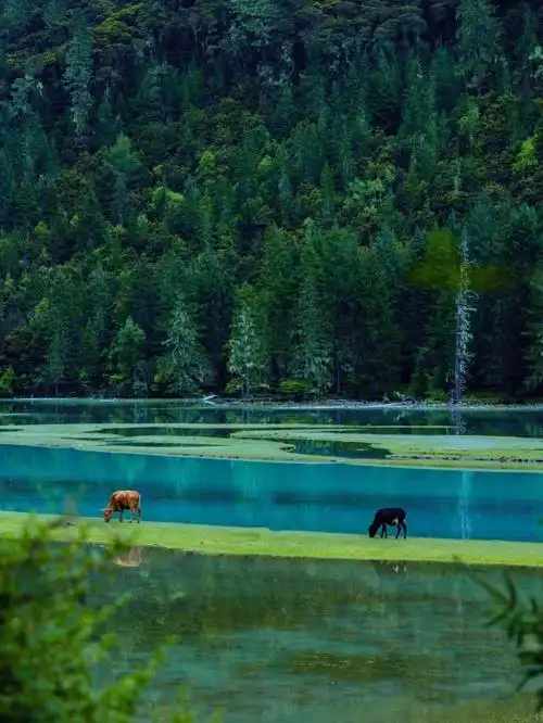 月亮湖川西秘境