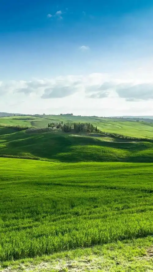 一片大草原 - 堆糖,美图壁纸兴趣社区