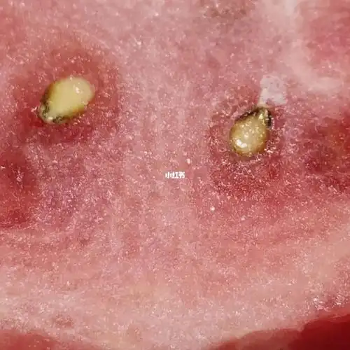 好喜欢这样粉色西瓜