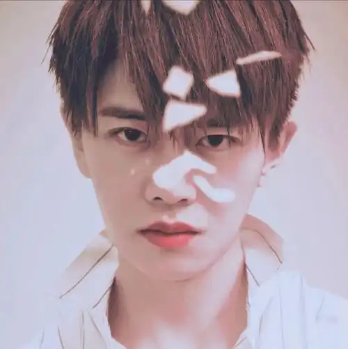 微信头像嘉人如玉世无双心之所向任嘉伦