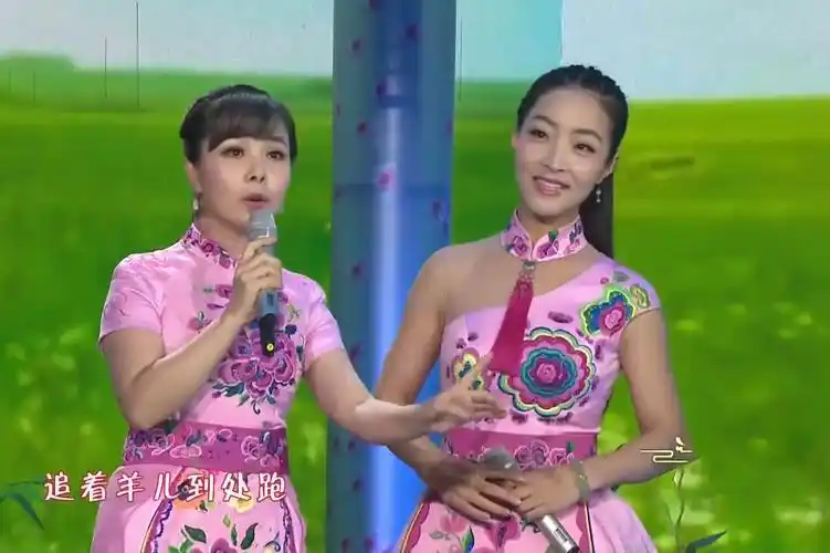 王二妮王小妮现场演唱姐妹花好听极了真正陕西民歌唱将
