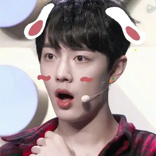 肖战头像,肖战二传注明堆糖沈虞书 "可爱贩卖机"