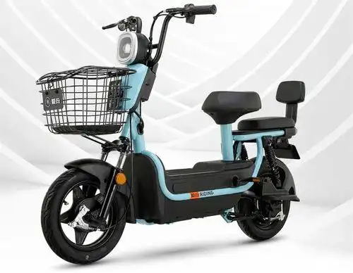 化进程进一步加快,一部分有实力的电动车品牌则加快了新一轮的布局,而