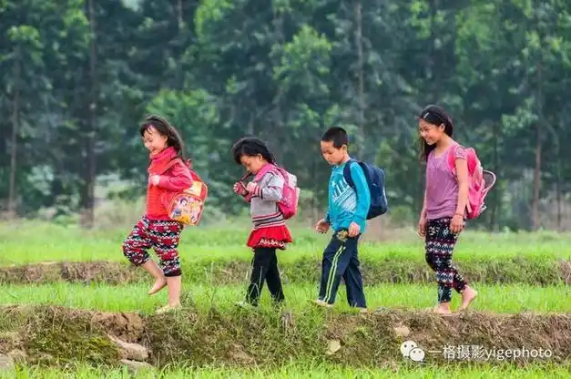 宾阳农村摄影赤脚走在田埂