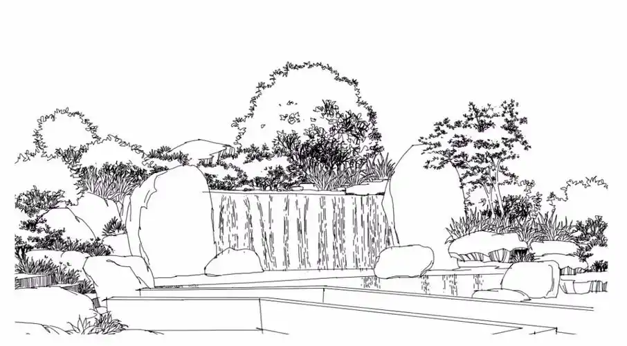 景观植物精致线稿图参考