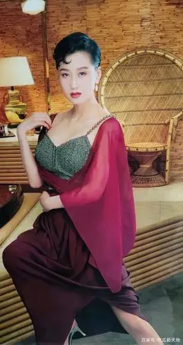 亚洲小姐利智,差点被赌王何鸿燊娶回家,退出娱乐圈嫁给李连杰