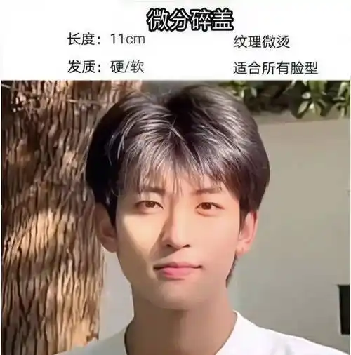 四六分微分碎盖,小鲜肉必备款发型