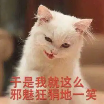 猫咪搞笑于是我就这么邪魅狂狷地一笑低头gif动图_动态图_表情包下载