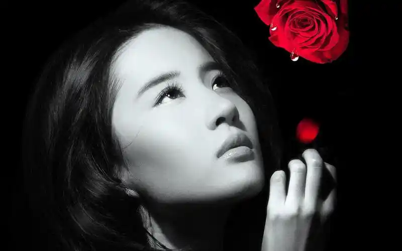 虐心电影露水红颜刘亦菲rain高清剧照唯美桌面壁纸(一)