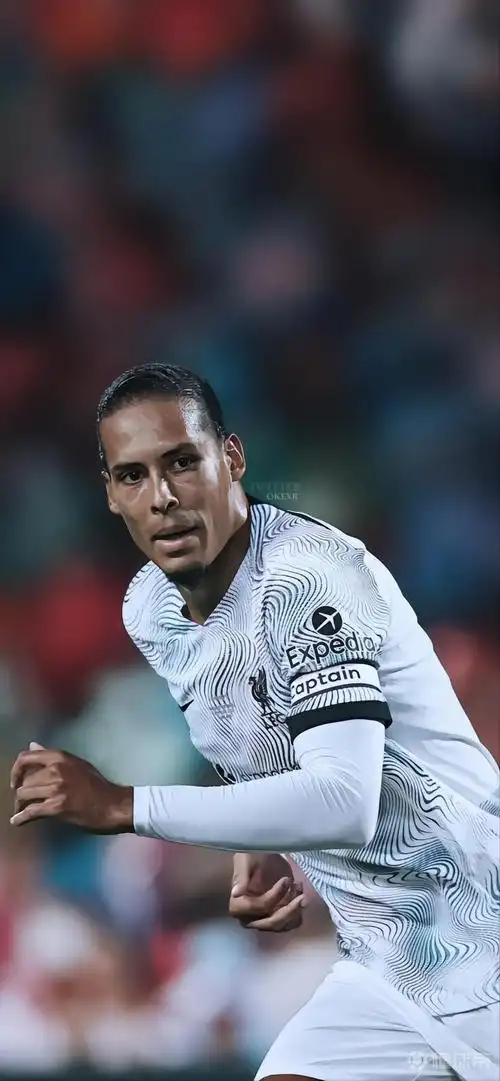 红军铁闸 利物浦大将军范戴克壁纸合集 竖屏