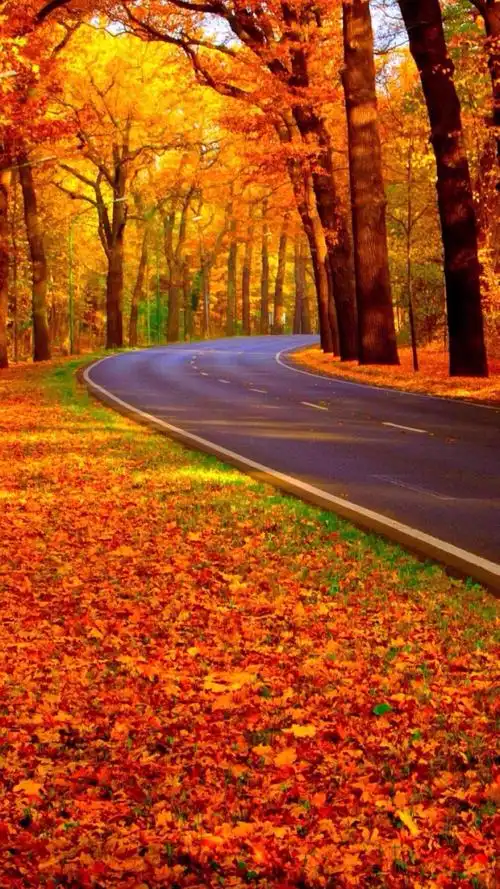 秋天- 堆糖,美图壁纸兴趣社区