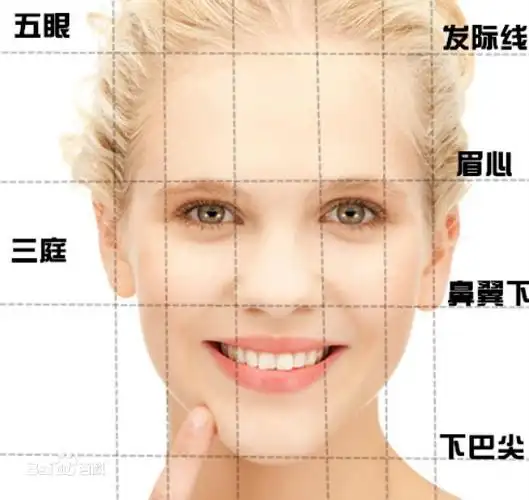 我这是什么脸型