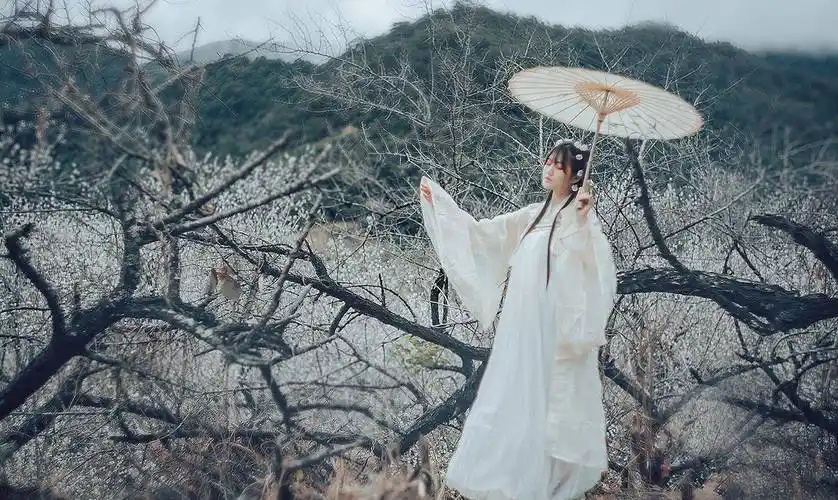 王禹偁的《点绛唇》,一贬再贬也要说真话的宋初名臣