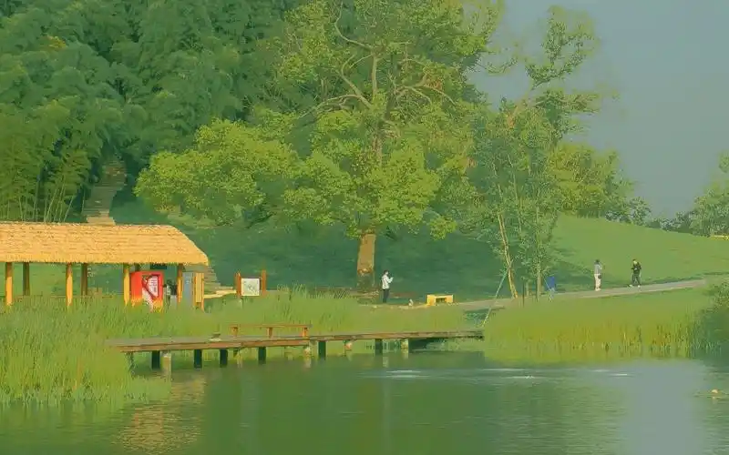 森系唯美治愈系自然风光,高清壁纸,风景图片-回车桌面